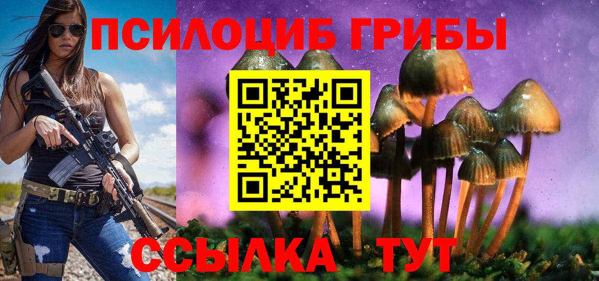 Псилоцибиновые грибы Psilocybe Рославль